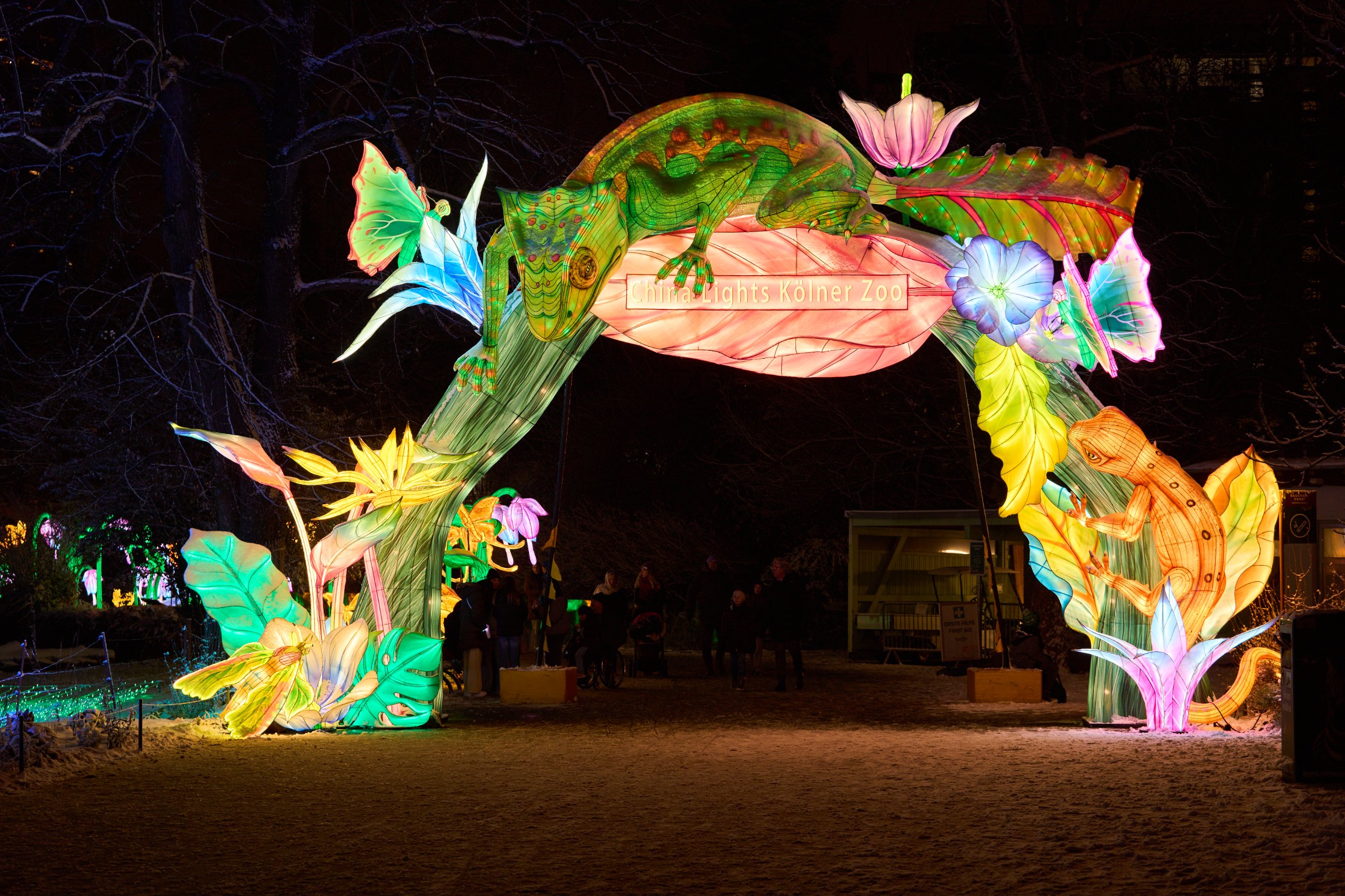 2026 01 05 China Lights 0017